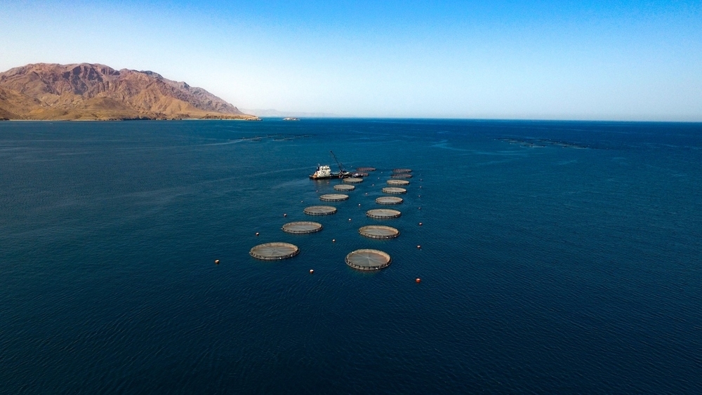 The sector’s GDP contribution at constant prices reached RO 274.4 million.