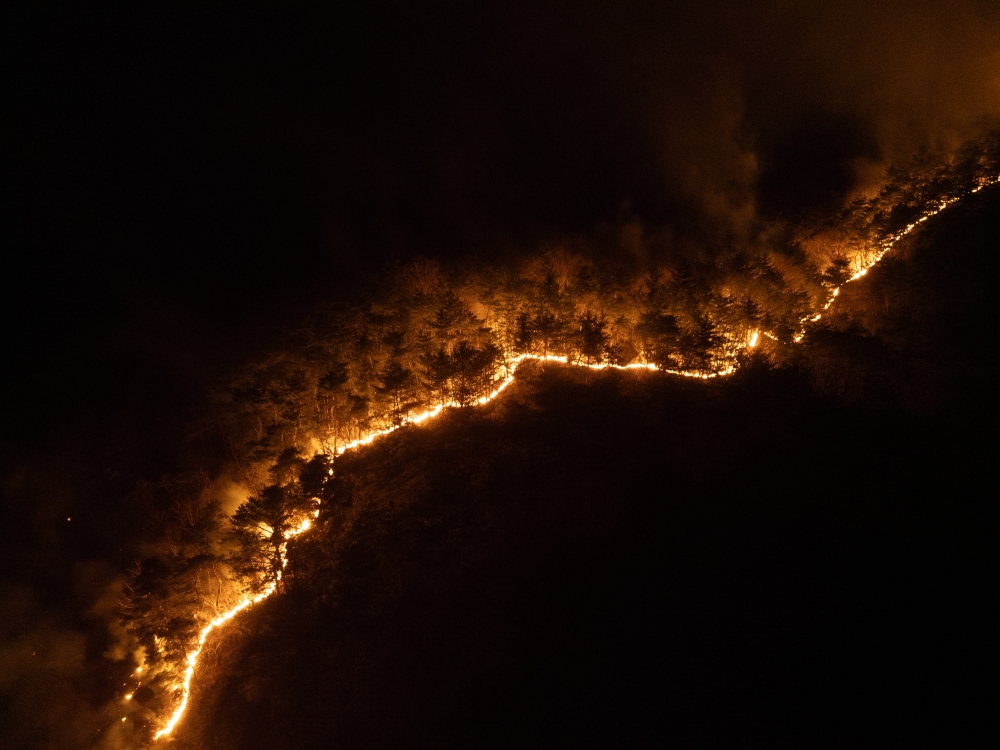 A wildfire sweeps through a mountain in Andong City, South Korea, on March 26, 2025. (Chang W. Lee/The New York Times)