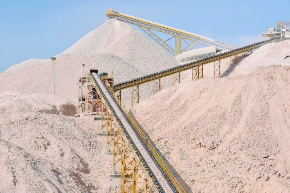 MDO increased investments in subsidiaries to RO 102.5 million as of December 31, 2024.