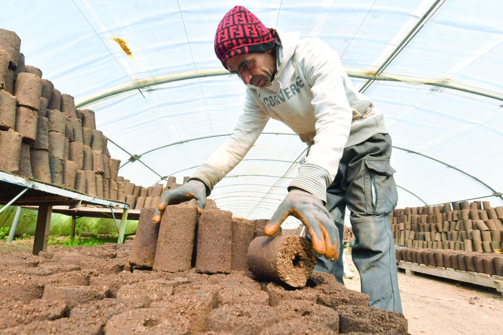 A man arranges rolls of olive pomace at the grounds of start-up Bioheat in the town of Sanhaja near Tunis. - AFP