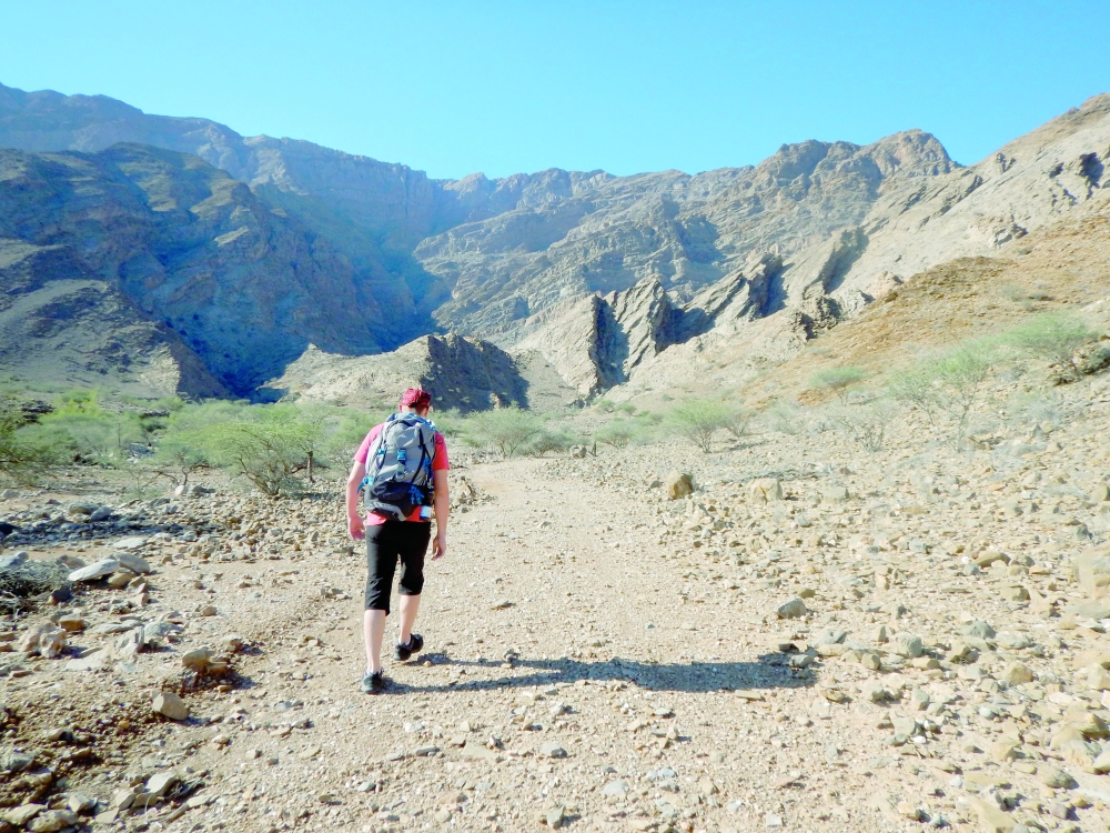 Exploring the Hidden Wonders of Wadi Al Zaatar