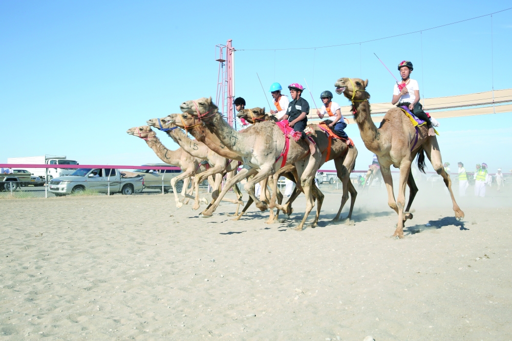 Archive photo for human rider race in Barka