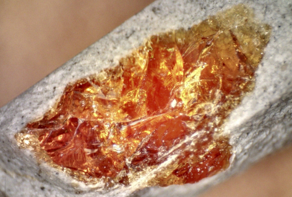 In an undated photo from Evan Saitta, an amber-colored resin sample. (Evan Saitta via The New York Times)