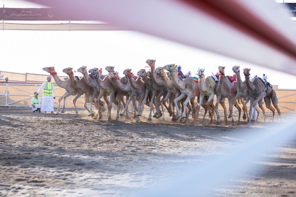 One of the race in Barka.