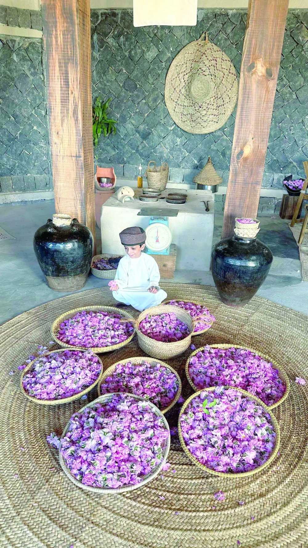 Explore the Rose-Filled Wonders of Jabal Akhdar at the Dehjan Project