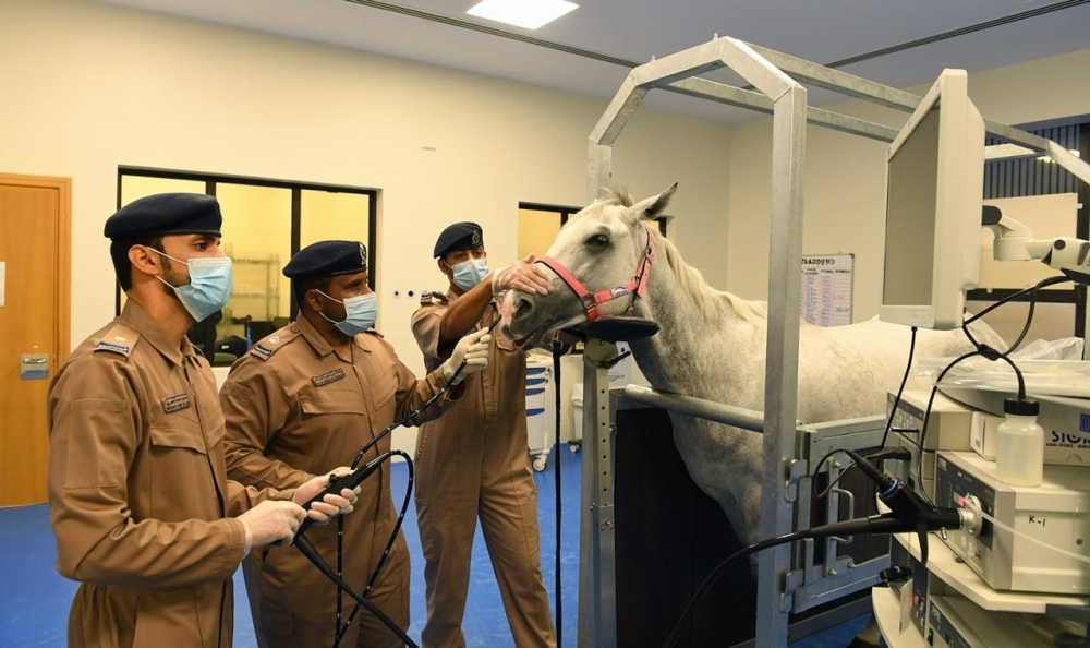 The study places ROP at the forefront of specialised veterinary research worldwide

