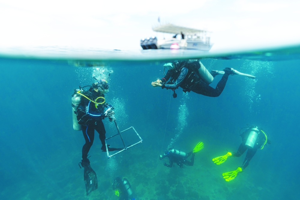 ESO gets funding from National Geographic Society