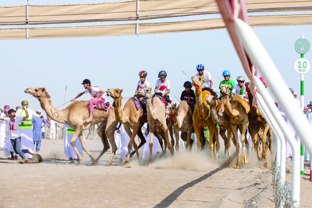 The Asian Camel Racing Federation has announced the rules of the first edition of the Asian championship in Abu Dhabi.