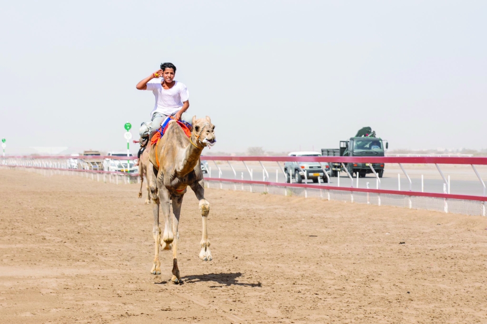 The participants must be at least 18 years old, possess valid camel jockey licenses or certified approvals from their national federations.