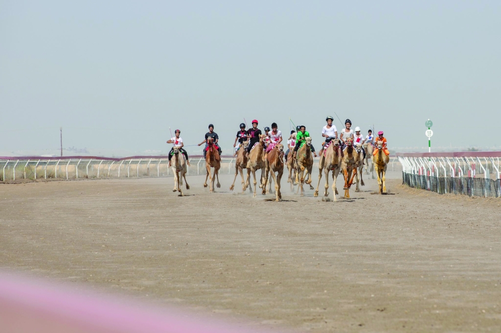 Camels owned by institutions or royalty are not eligible and will apply anti-doping tests to ensure integrity and fairness.