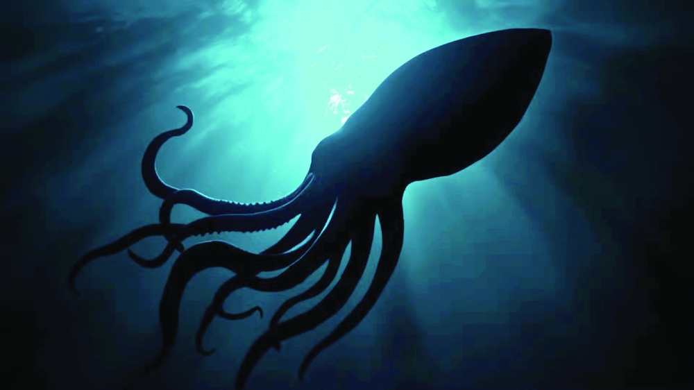 It Took a Century to Find This Colossal Squid