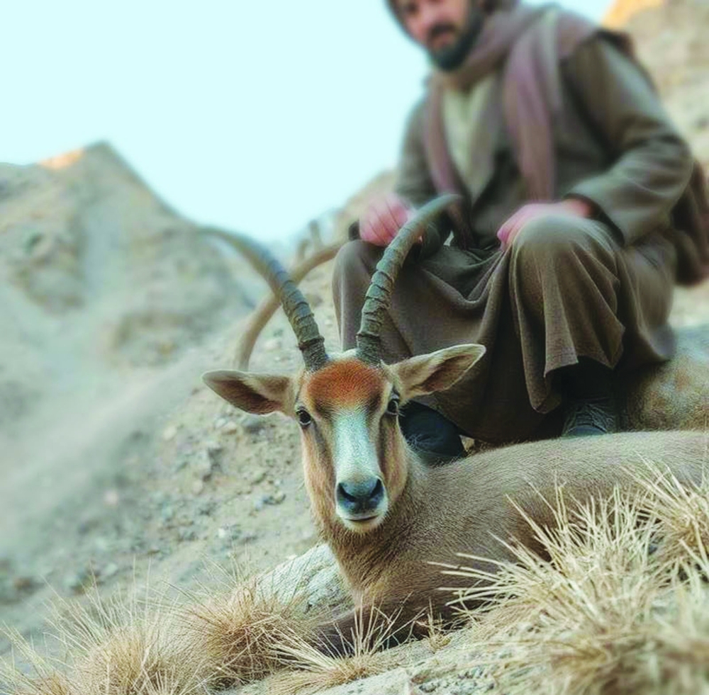 Al Qannas is an Omani author's exploration of the deep connection between man and nature