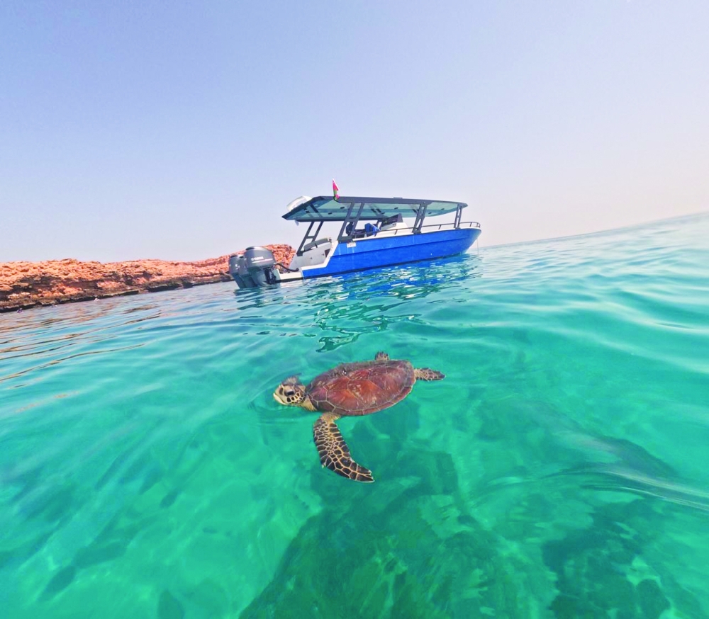 An ideal time for snorkels, snacks, and sunscreen