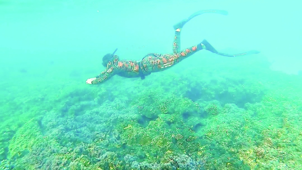 An ideal time for snorkels, snacks, and sunscreen