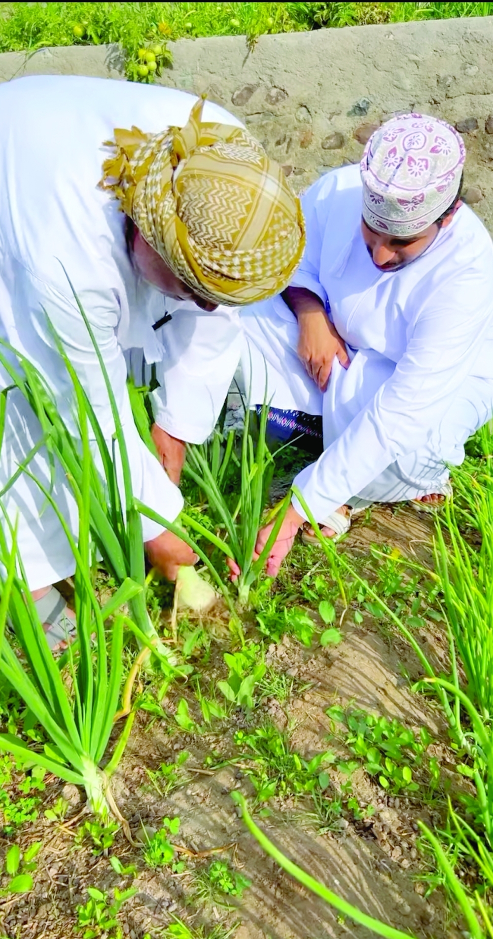 The raw potential of Khabita Village for agritourism