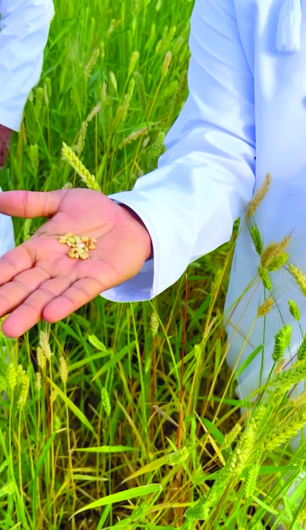 The raw potential of Khabita Village for agritourism