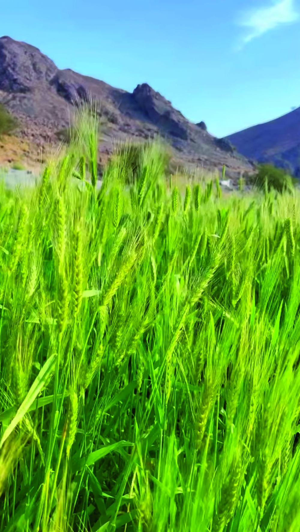 The raw potential of Khabita Village for agritourism