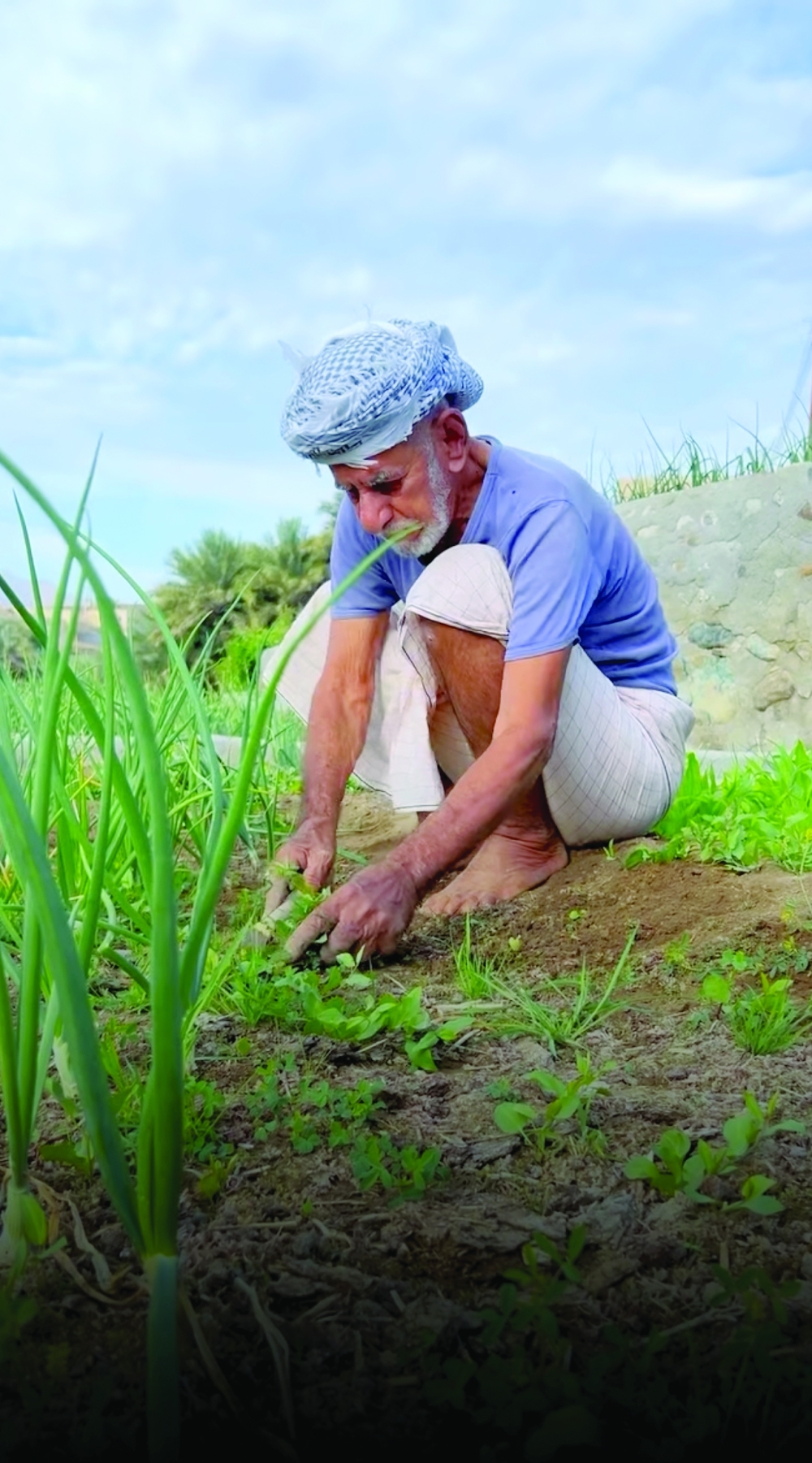 The raw potential of Khabita Village for agritourism