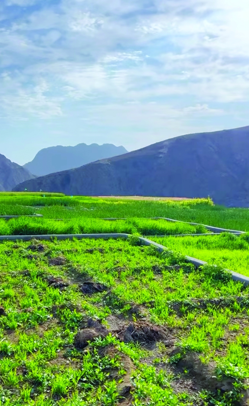 The raw potential of Khabita Village for agritourism