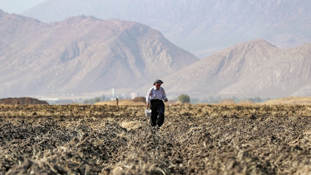 Climate action is a matter of economic survival, while for developing economies.