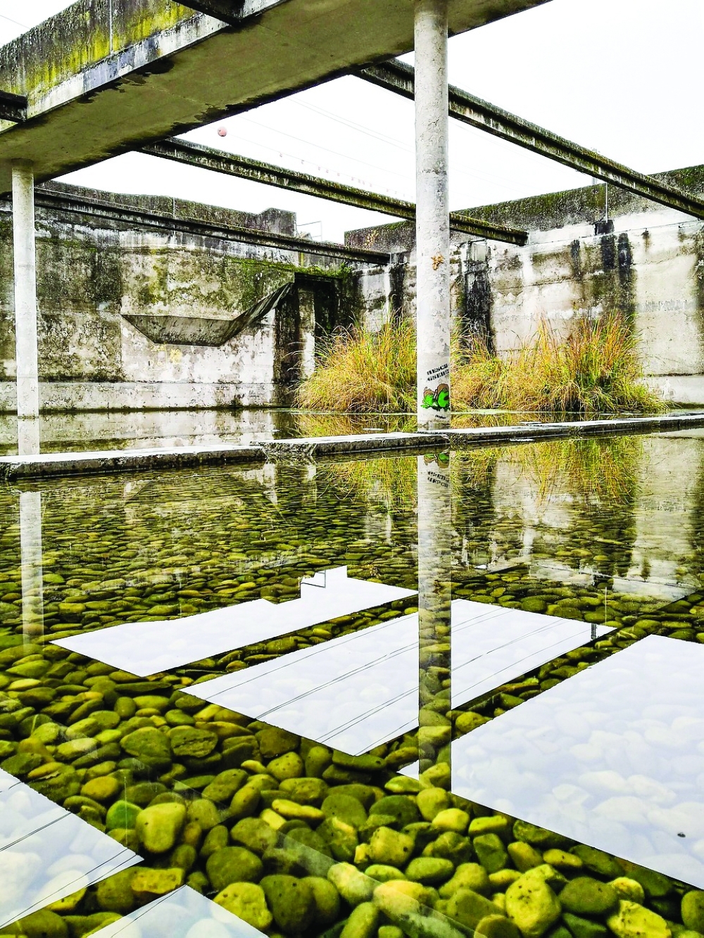 Omani Youth Innovate with Sustainable Solution to Salty Water Waste