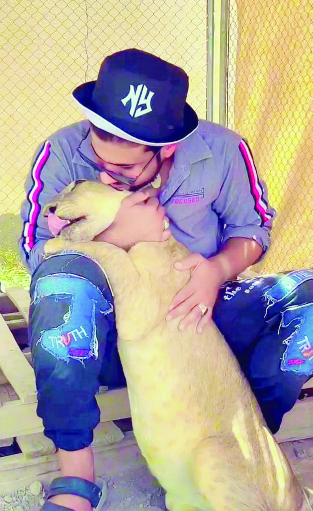 Raising Predatory Animals in Oman: A Hidden World of Passion and Responsibility