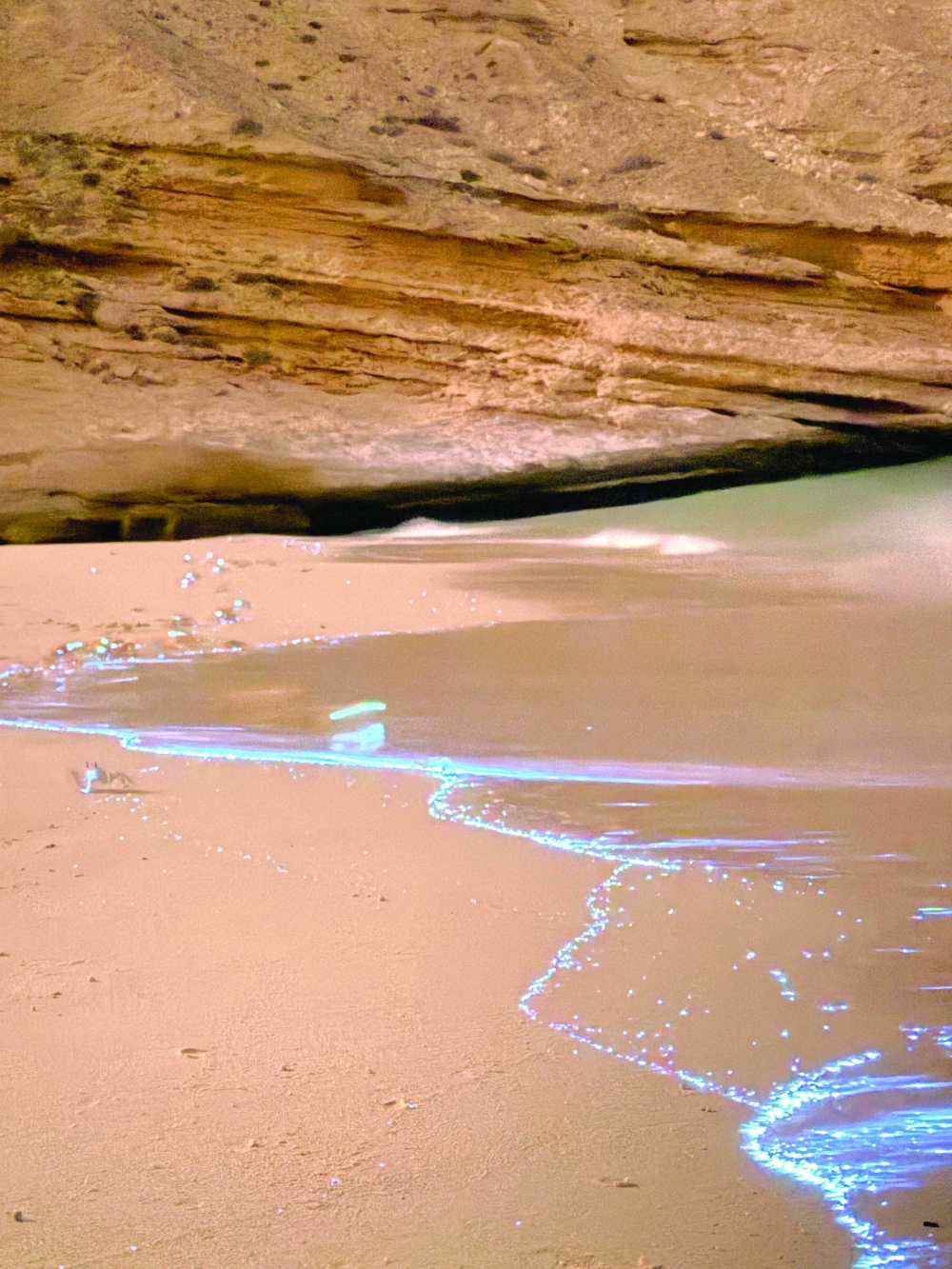 Why are these crabs glowing and why Oman's nature continues to mesmerise