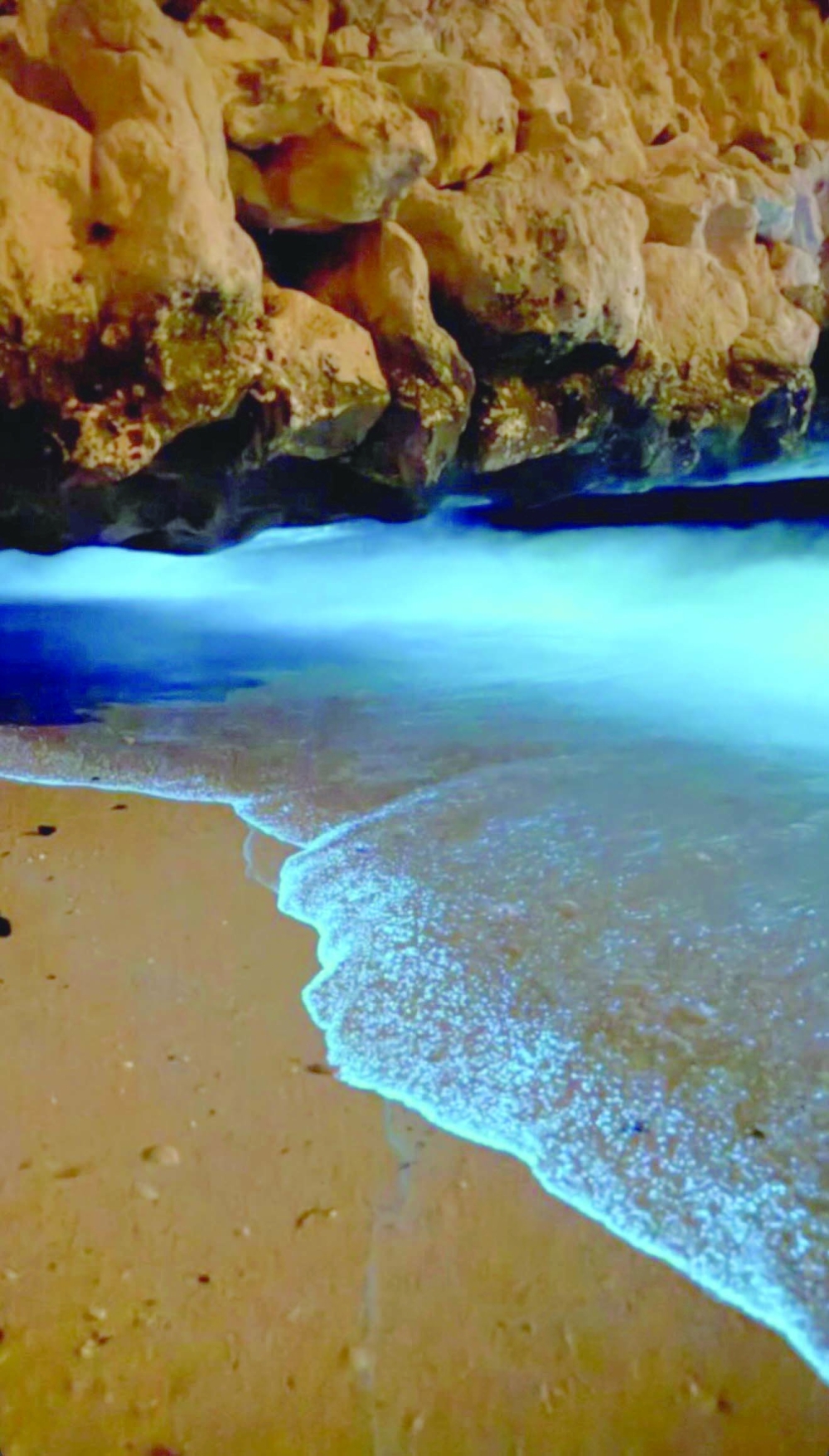 Why are these crabs glowing and why Oman's nature continues to mesmerise