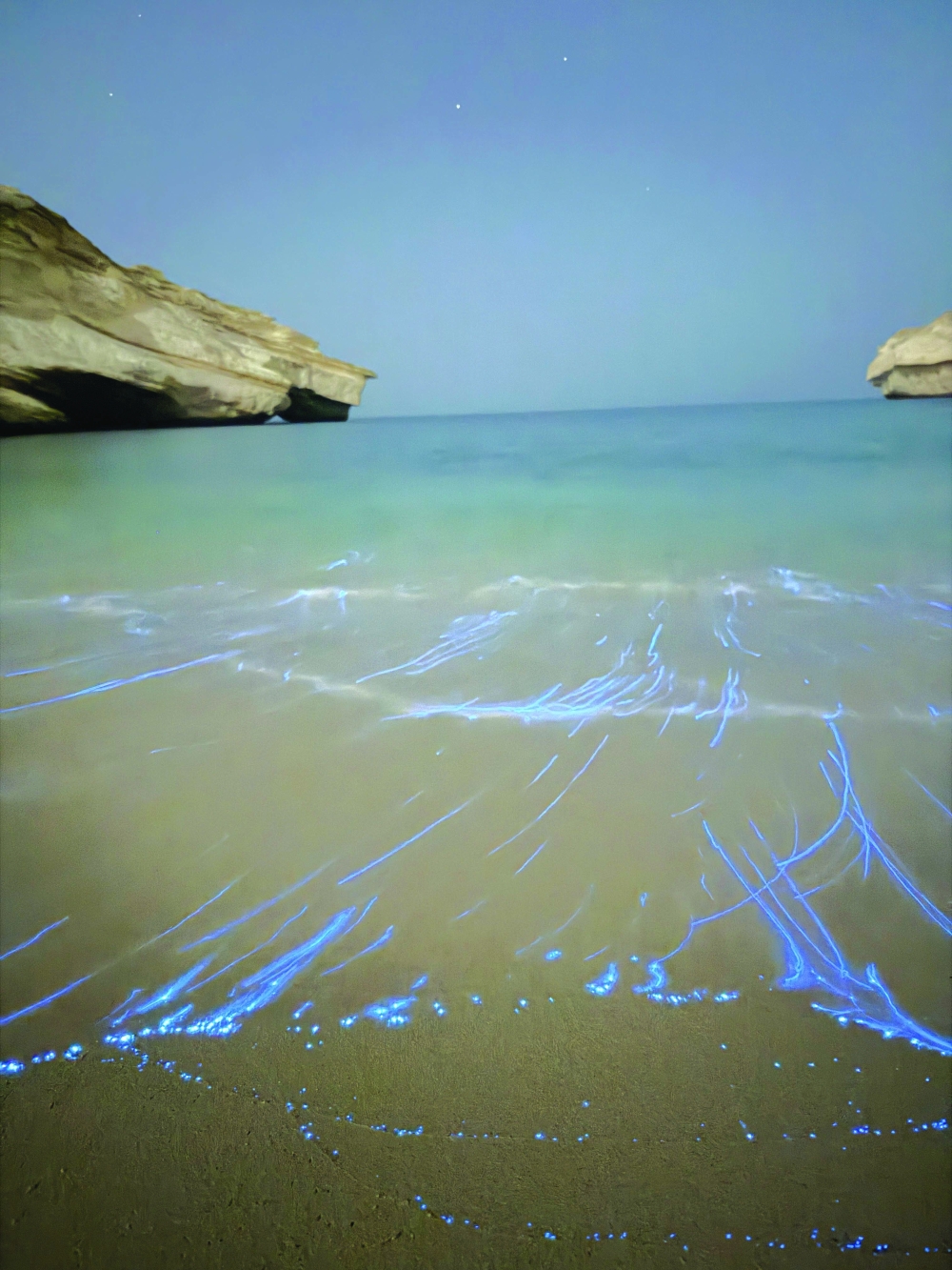 Why are these crabs glowing and why Oman's nature continues to mesmerise