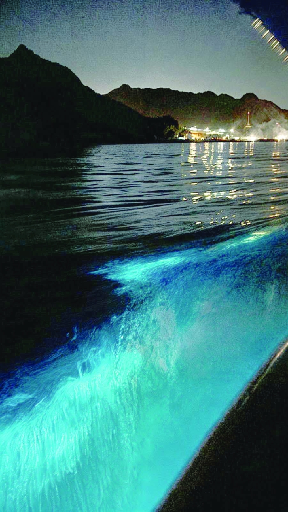 Why are these crabs glowing and why Oman's nature continues to mesmerise