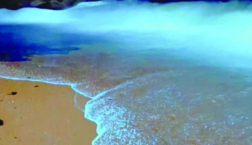 Why are these crabs glowing and why Oman's nature continues to mesmerise