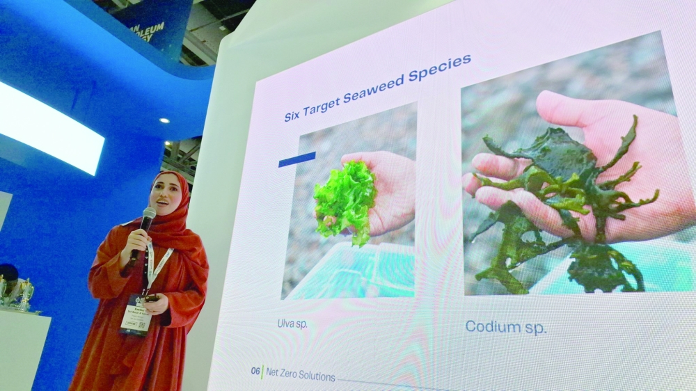 Kawther al Harrasi, Programme Manager — NTZ Solutions, sharing details on the Seaweed Farming pilot project currently underway in Oman.
