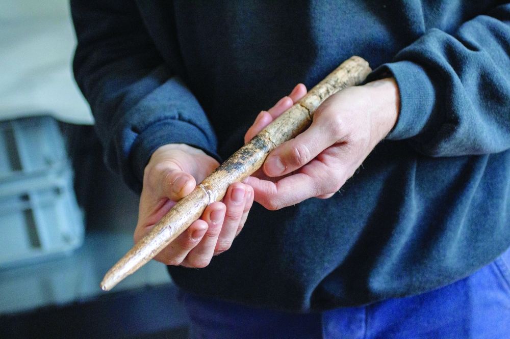 Tools made of whale bones reveal inventiveness of prehistoric people