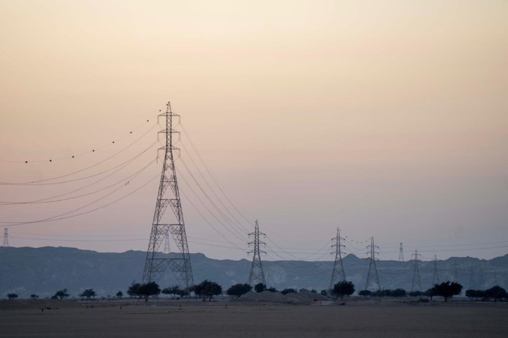 The largest share of subsidies, amounting to RO 565 million, was directed to the electricity sector.