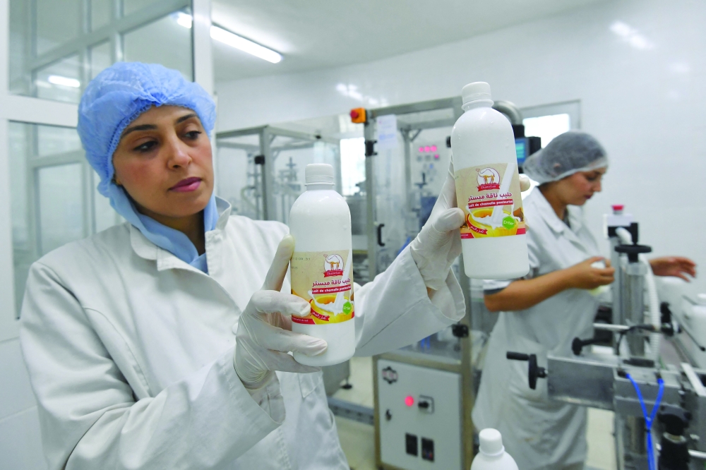 Latifa Frifita and her sister Besma, monitor the bottling of camel milk at the headquarters of the Institute of Arid Regions in Medenine. — AFP