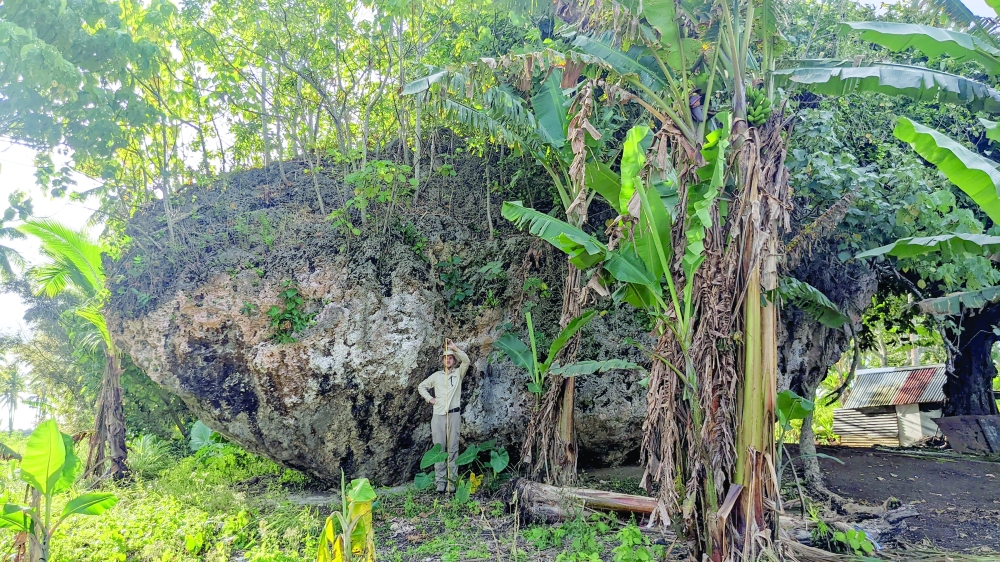 A giant boulder, made of limestone and mistaken for a hill, in Tongatapu, the largest island of Tonga in the South Pacific. (Martin Köhler/The University of Queensland via The New York Times)