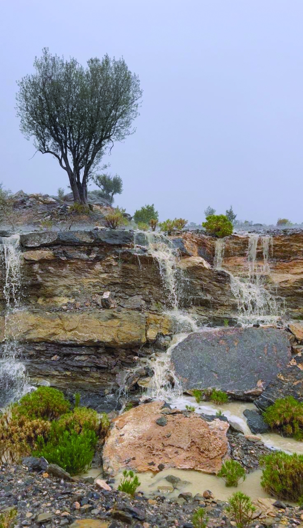 Rainfall continues in several wilayats