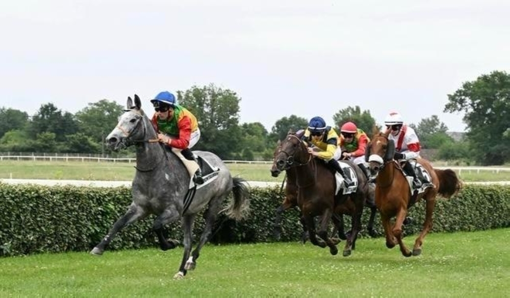   Oman's ‘Al Ghanim’ in first place 