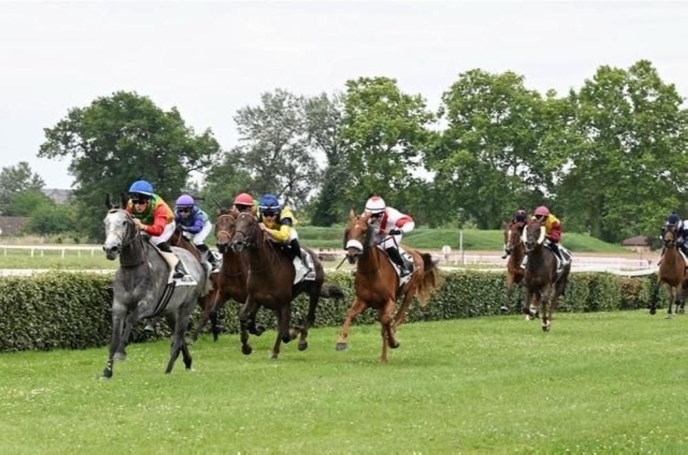  Oman's ‘Al Ghanim’ in first place 