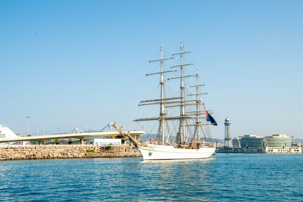 moi354212577