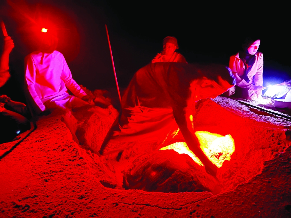 The project's main objectives are to assess environmental interventions and create protection strategies.