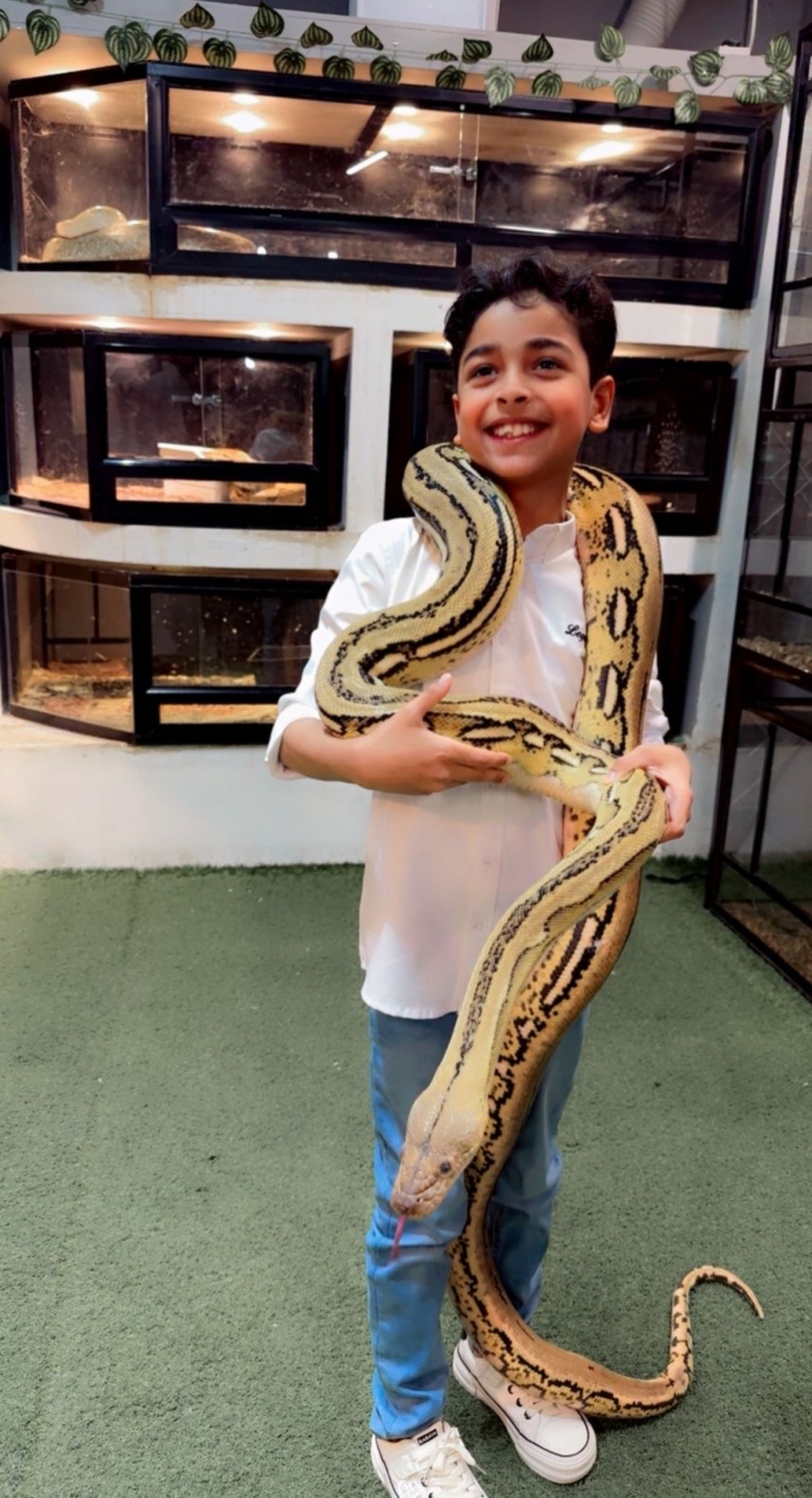 How a new Muscat zoo-like exhibition is helping children grow more confident and calm