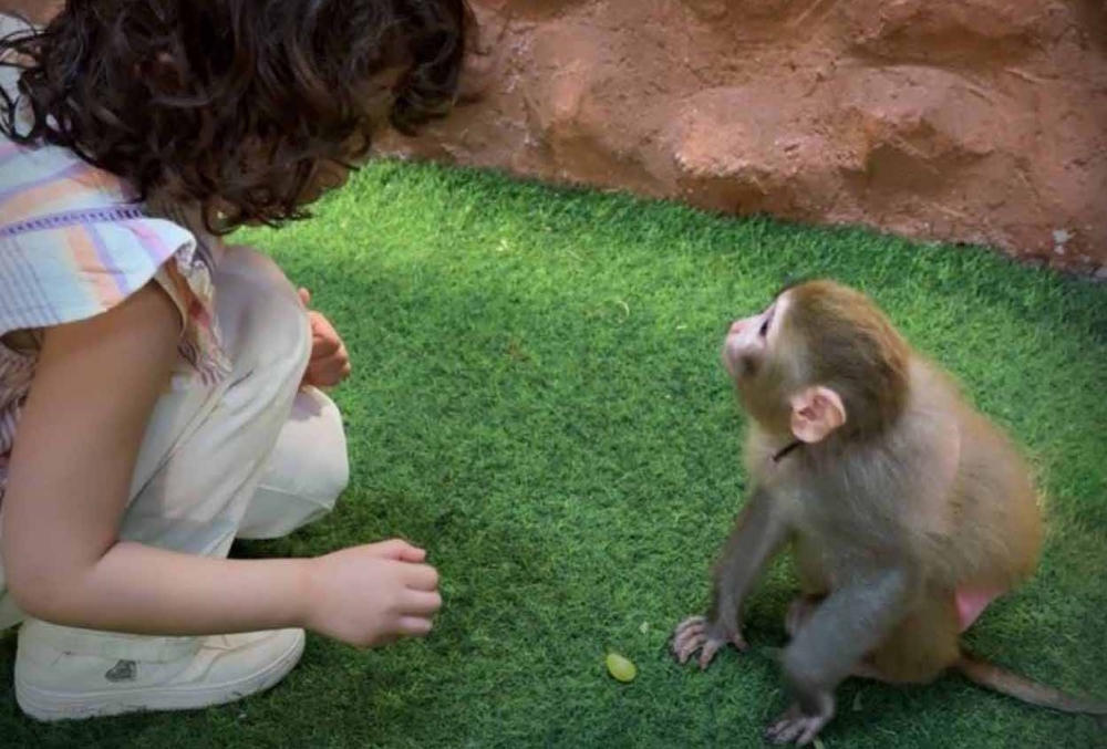 How a new Muscat zoo-like exhibition is helping children grow more confident and calm