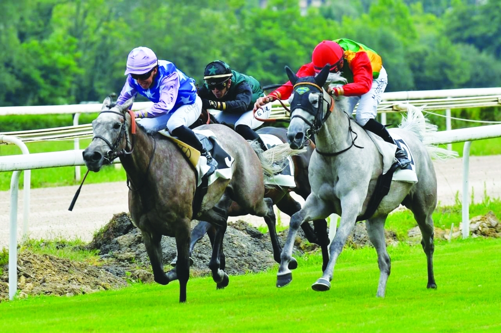 The Toulouse race attracted entries from several countries, including Oman, Qatar, France and Spain