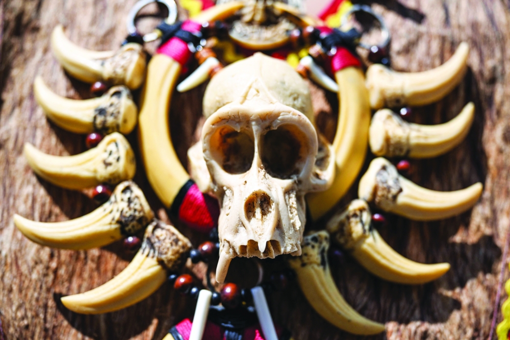 Malaysia's Dayaks mark rice harvest end with colourful parade