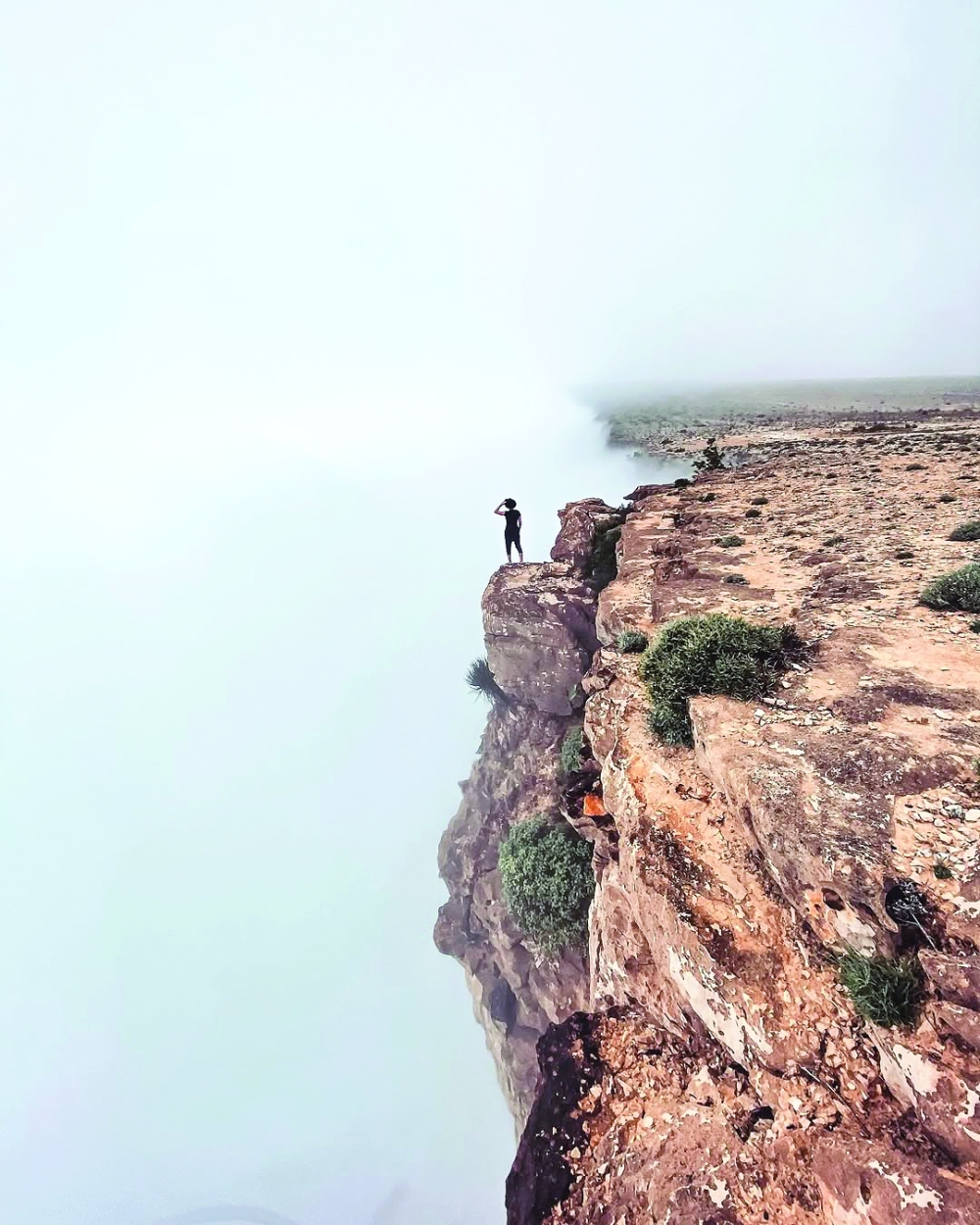 Five Natural Parks in Oman You Have to Visit for Stunning Views and Wildlife
