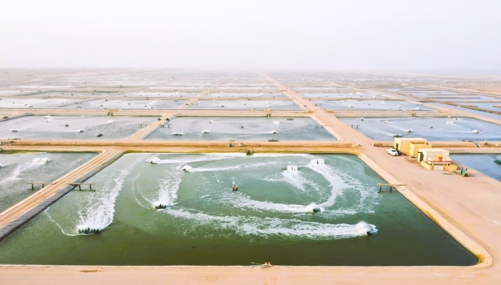 Aquaculture is a key pillar supporting fish production in Oman