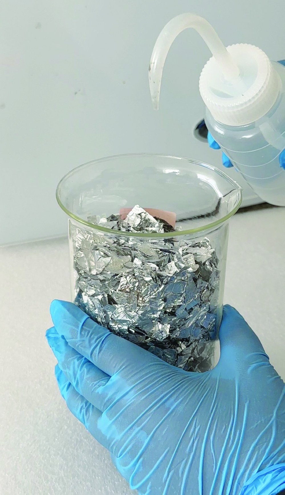 Research develops green method to tackle bacteria, fungi