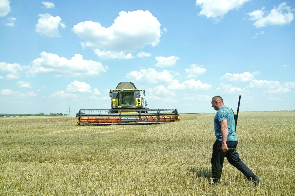A farmer with a rifle controls an area for Russian combat drones as an agricultural worker operates a combine during wheat harvesting near a front line, amid Russia's attack on Ukraine, in the Zaporizhzhia region, Ukraine. — Reuters
