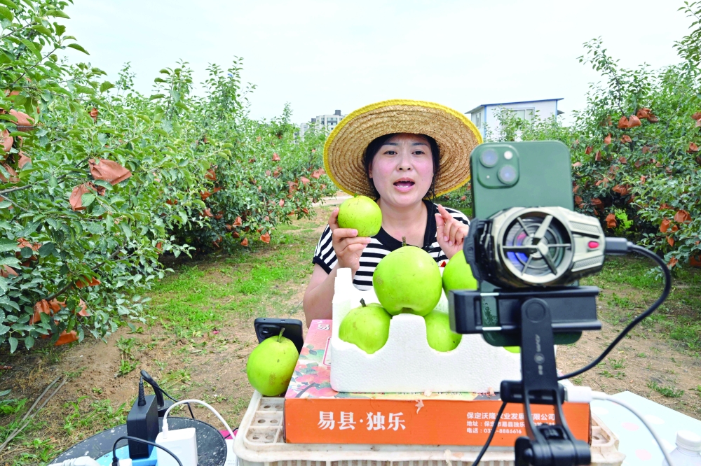 A participant of a 'hands-on livestreaming bootcamp' for farmers conducting a sales presentation at an apple orchard in Penglai, Yantai city, China's eastern Shandong province. - AFP